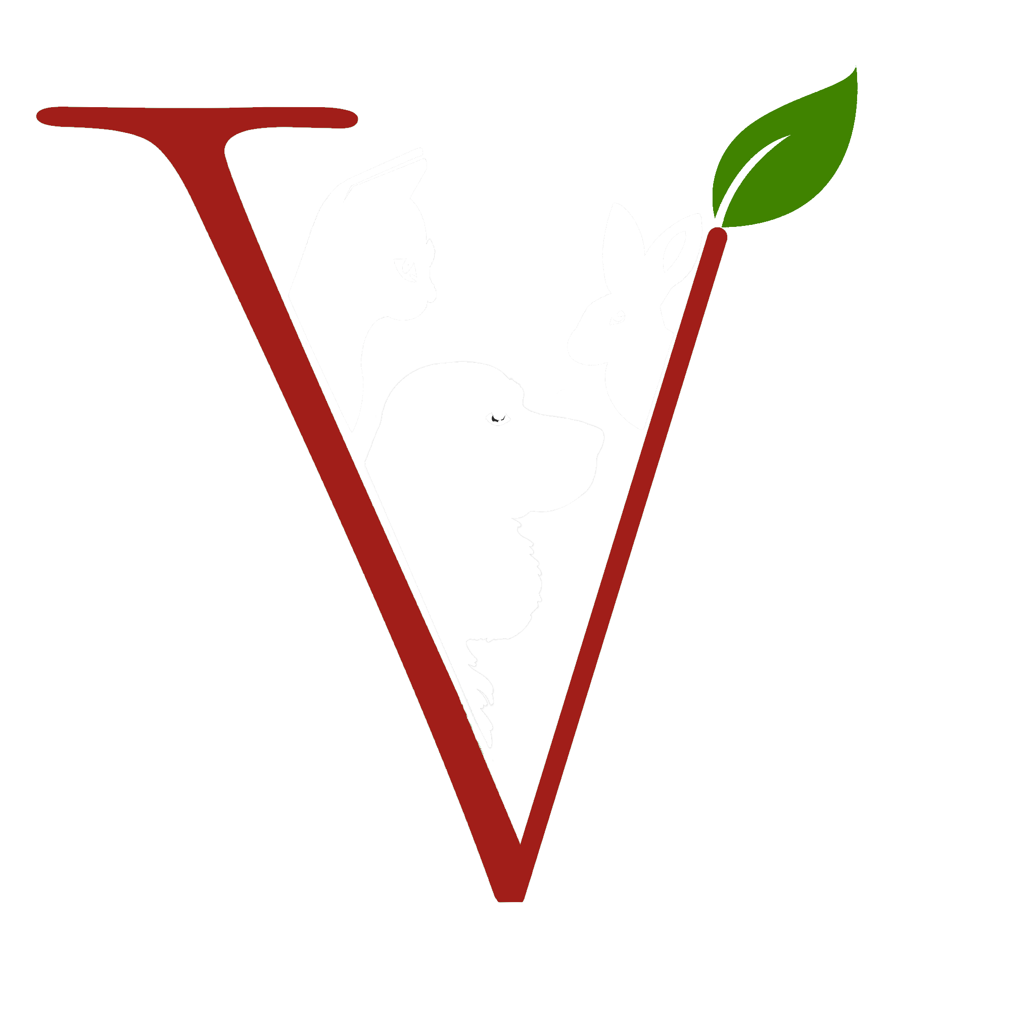 Tierarztpraxis Davor